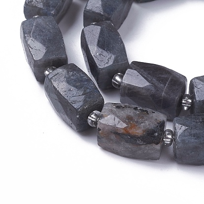 Natural Labradorite Beads Strands, Faceted, Cuboid