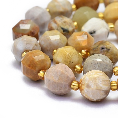 Natural Fossil Coral Beads Strands, Round, Faceted