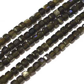 Natural Golden Sheen Obsidian Beads Strands, Cube, Faceted