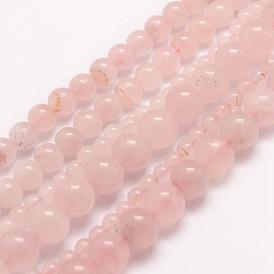 Natural Rose Quartz Beads Strands, Round