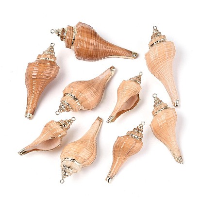 Подвески из натуральной раковины морского моллюска, покрытые гальваническим покрытием., подвески в форме ракушек, с медными петлями, золотые
