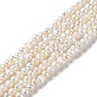Natural Cultured Freshwater Pearl Beads Strands, Potato, Grade 3A