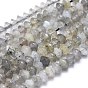 Natural Labradorite Beads Strands, Faceted, Bicone