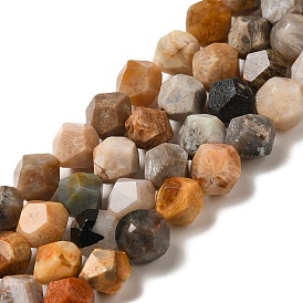 Natural Fossil Coral Beads Strands, Star Cut Round Beads, Faceted