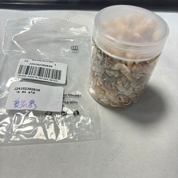 90G 2 Styles Natural Spiral Shell Beads, No Hole Beads