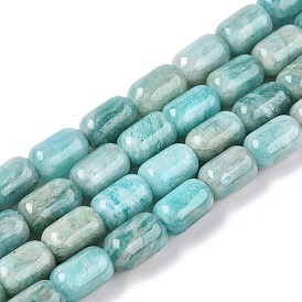 Natural Amazonite Beads Strands, Column