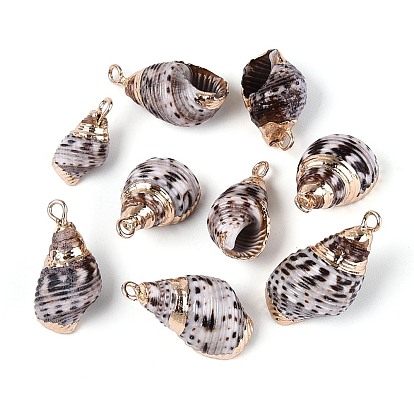 Подвески из натуральных ракушек с гальваническим покрытием, подвески в форме ракушек, с латунной фурнитурой , золотые
