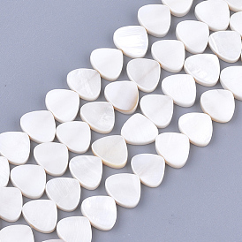 Freshwater Shell Beads Strands, Triangle