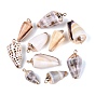 Electroplate Natural Spiral Shell Pendants, Conch Charms, with Iron Loops and Brass Findings, Light Gold