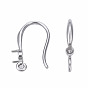 316 Surgical Stainless Steel Hook with Rhinestone Settings and Horizontal Loop, Ear Wire