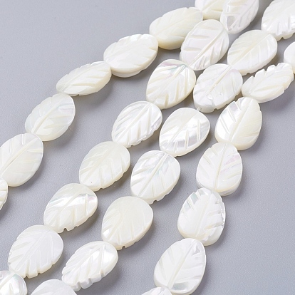 Natural Trochid Shell/Trochus Shell Beads Strands, Leaf, 14~15x10x4mm, Hole: 0.7mm, about 29pcs/strand, 16.14 inch