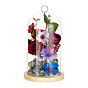 Couvercle de dôme en verre en arc, vitrine décorative, terrarium cloche cloche avec base en bois