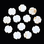 Natural Freshwater Shell Beads, Flower