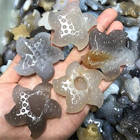 Natural Agate Display Decorations, for Home Decoration, Starfish