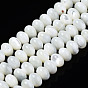 Natural Trochid Shell/Trochus Shell Beads Frames Strands, Rondelle, Bleach