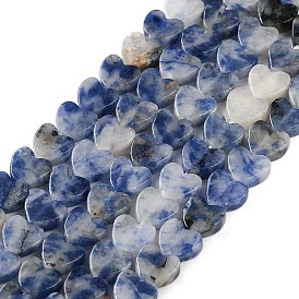 Perles de jaspe tache bleue naturelle, cœur