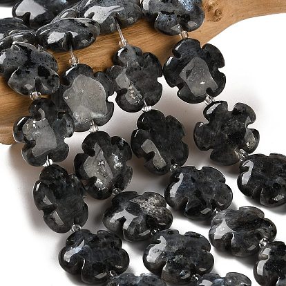 Natural Larvikite Beads Strands, 5-Petal Flower, with Seed Beads