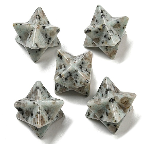 Natural Sesame Jasper/Kiwi Jasper Beads, No Hole/Undrilled, Merkaba Star