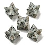Natural Sesame Jasper/Kiwi Jasper Beads, No Hole/Undrilled, Merkaba Star