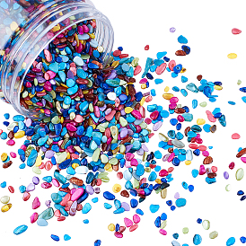 Shell Beads, No Hole Beads, Dyed, Shell Shards, Chip