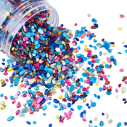 Shell Beads, No Hole Beads, Dyed, Shell Shards, Chip