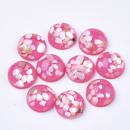Resin Cabochons, with Shell Chip, Dome/Half Round
