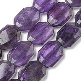 Natural Amethyst Beads Strands, Hexagon, Faceted