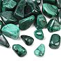 Natural Malachite Beads, Tumbled Stone, Nuggets, No Hole/Undrilled, Vase Filler Gems/Undrilled, Vase Filler Gems