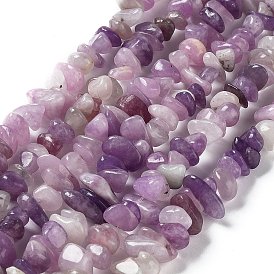Natural Lepidolite/Purple Mica Stone Beads Strands, Chip