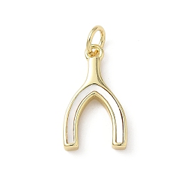 Подвески в виде косточки из натуральной ракушки из латуни, с прыжковых колец, без свинца и без кадмия, долговечный, стойки покрытие, цвет морской раковины