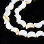 Natural Freshwater Shell Beads Strands, Moon