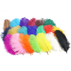 Ostrich Feather Ornament Accessories, for DIY Costume, Hair Accessories, Backdrop Craft