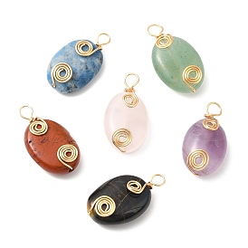 6Pcs Natural Mixed Gemstone Copper Wire Wrapped Pendents, Oval Charms, Light Gold