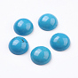 Natural Howlite Cabochons, Half Round, Dyed