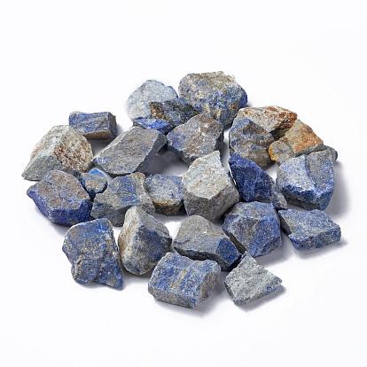 Rough Raw Natural Lapis Lazuli Beads, for Tumbling, Decoration, Polishing, Wire Wrapping, Wicca & Reiki Crystal Healing, No Hole/Undrilled, Nuggets