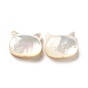 Natural White Shell Beads, Cat