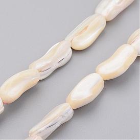 Natural Shell Bead Strands, Nugget Stick