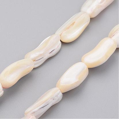 Natural Shell Bead Strands, Nugget Stick