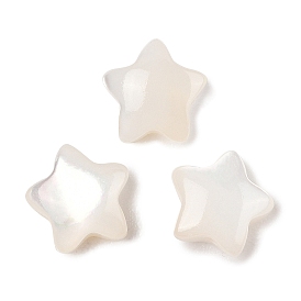 Natural White Shell Beads, Star