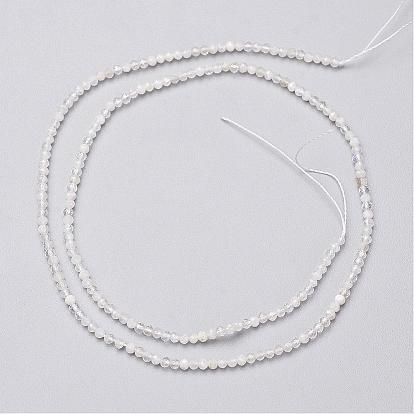 Natural Rainbow Moonstone Bead Strands, Faceted, Round