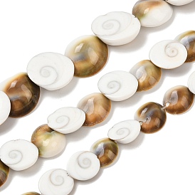 Натуральные бусины из ракушек «глаз Шивы», полукруглая форма раковины