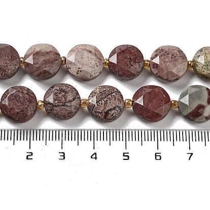 Natural America Picture Jasper Beads Strands, with Seed Beads, Faceted Hexagonal Cut, Flat Round