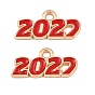 Подвески из эмали и сплава, число 2027 прелести