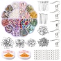DIY Natural Stone Jewelry Set Making Kit, Include Glass Seed & Stone Chips Beads, Alloy Clasps, 304 Stainless Steel Pin & Jump Rings, Iron Earring Hook & Bead Tip & End Chain, Elastic Thread