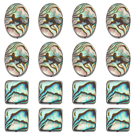 16 шт. 2 нити бусин из натуральных ракушек-морских ушек/ракушек пауа, овал/квадрат, ручная работа сверление