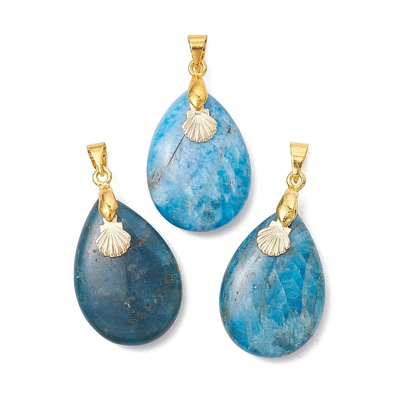 Natural Apatite Pendants, Teardrop with 304 Stainless Steel Shell Shape Charms, with Brass Snap on Bails, Golden