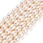 Natural Cultured Freshwater Pearl Beads Strands, Rice, Grade AAAAA