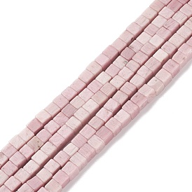 Natural Rhodonite Beads Strands, Cube