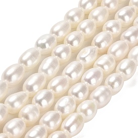 Natural Cultured Freshwater Pearl Beads Strands, Rice, Grade 4A+
