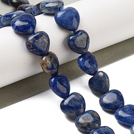 Natural Sodalite Beads Strands, Heart